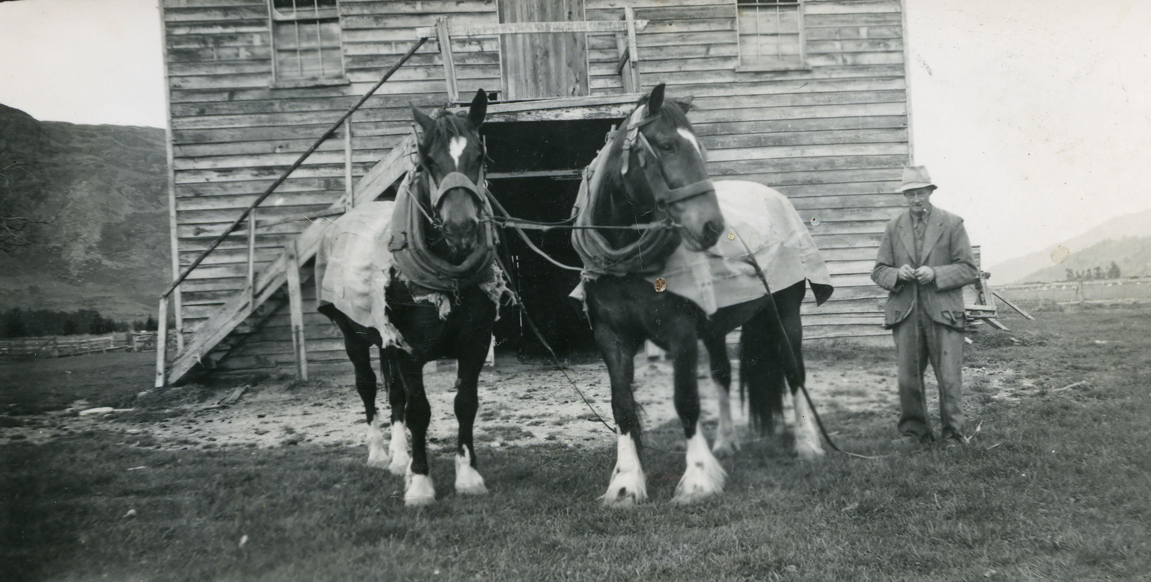 ep3126-chas-hansen-with-2-horses.jpg